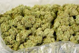 100GR AAA OG Kush import
